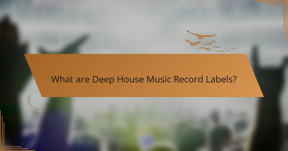 What are Deep House Music Record Labels?