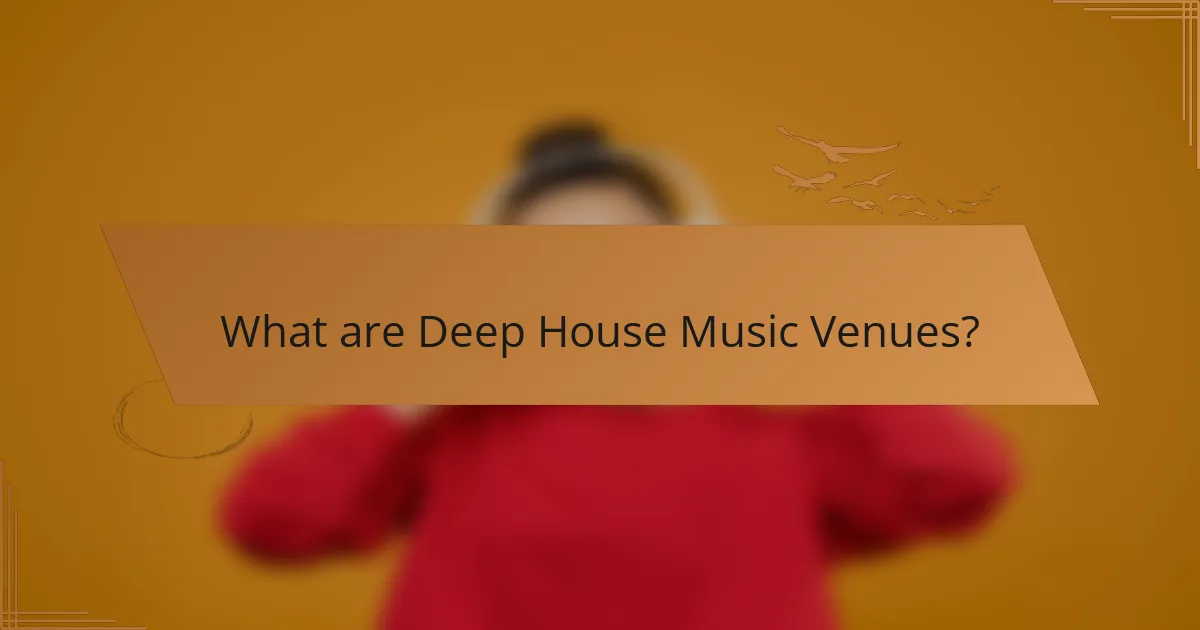 What are Deep House Music Venues?