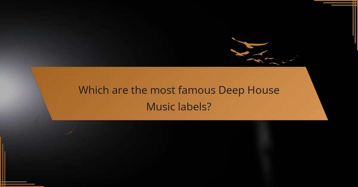 Which are the most famous Deep House Music labels?